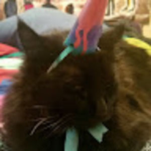 Meet your Posher, Blake